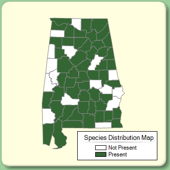 Species Distribution Map