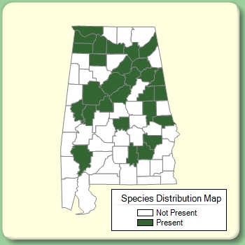 Species Distribution Map