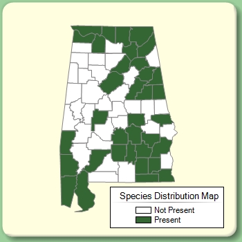 Species Distribution Map