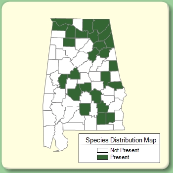 Species Distribution Map