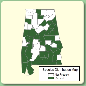 Species Distribution Map