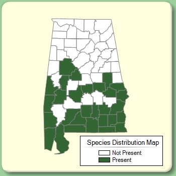 Species Distribution Map