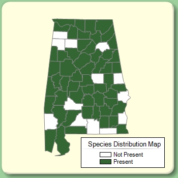 Species Distribution Map