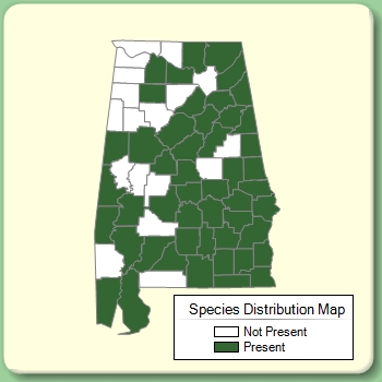 Species Distribution Map