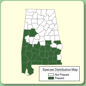 Species Distribution Map