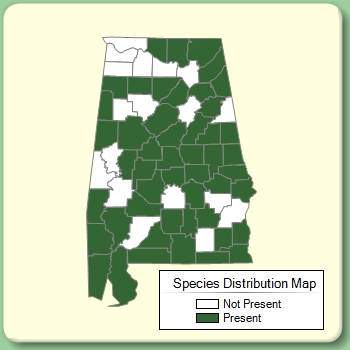 Species Distribution Map