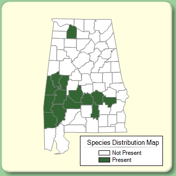 Species Distribution Map