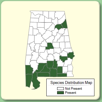 Species Distribution Map