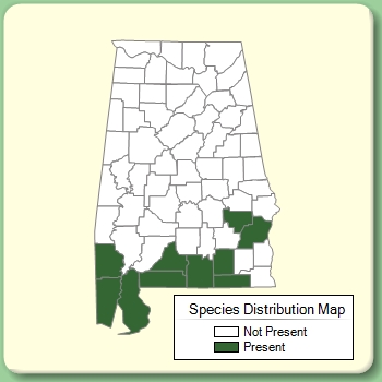 Species Distribution Map