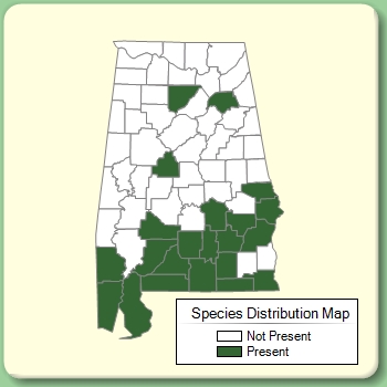 Species Distribution Map