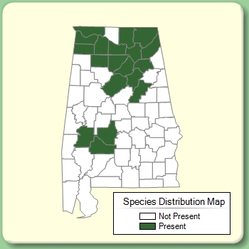 Species Distribution Map