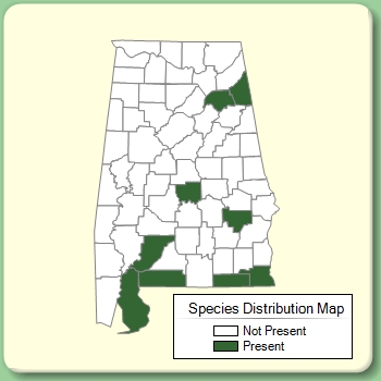 Species Distribution Map