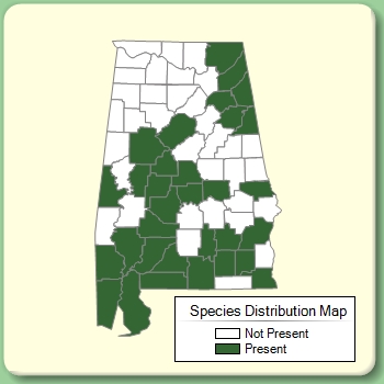 Species Distribution Map