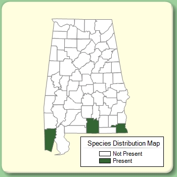 Species Distribution Map