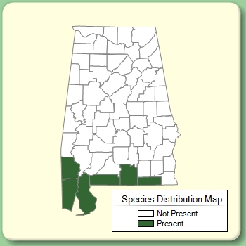 Species Distribution Map