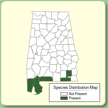 Species Distribution Map