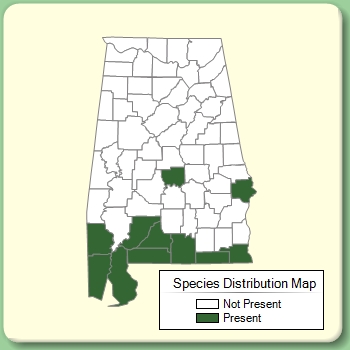 Species Distribution Map