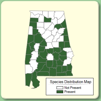 Species Distribution Map