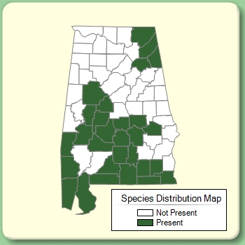 Species Distribution Map