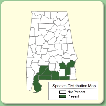 Species Distribution Map