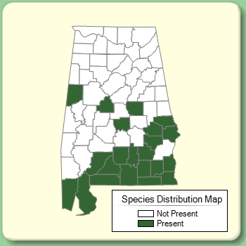 Species Distribution Map