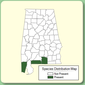 Species Distribution Map