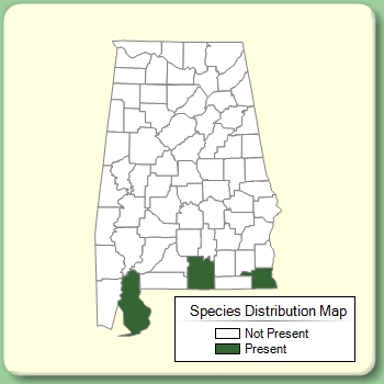 Species Distribution Map