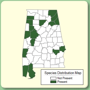 Species Distribution Map