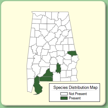 Species Distribution Map