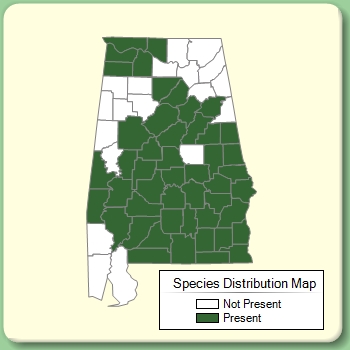 Species Distribution Map