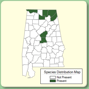 Species Distribution Map