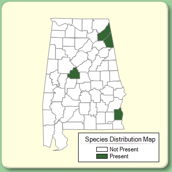 Species Distribution Map