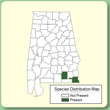 Species Distribution Map