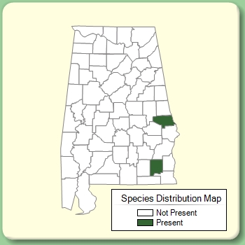 Species Distribution Map