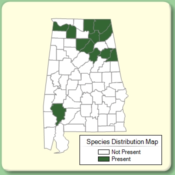 Species Distribution Map