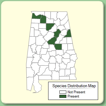 Species Distribution Map