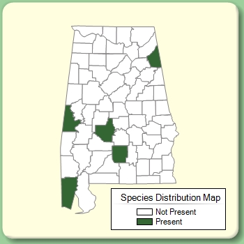 Species Distribution Map