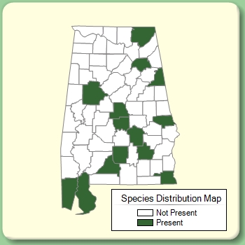 Species Distribution Map