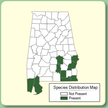 Species Distribution Map