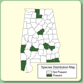 Species Distribution Map