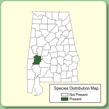 Species Distribution Map