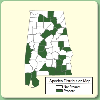 Species Distribution Map