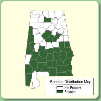 Species Distribution Map