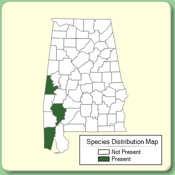 Species Distribution Map