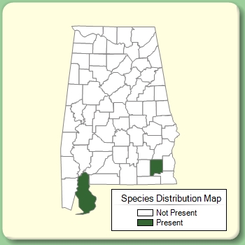 Species Distribution Map