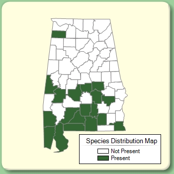 Species Distribution Map