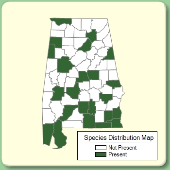 Species Distribution Map