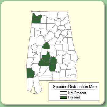 Species Distribution Map