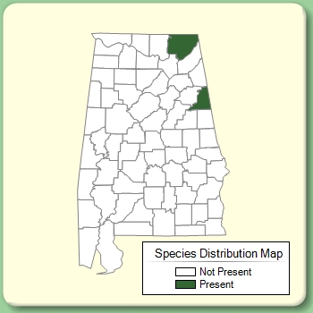 Species Distribution Map