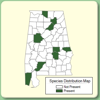 Species Distribution Map